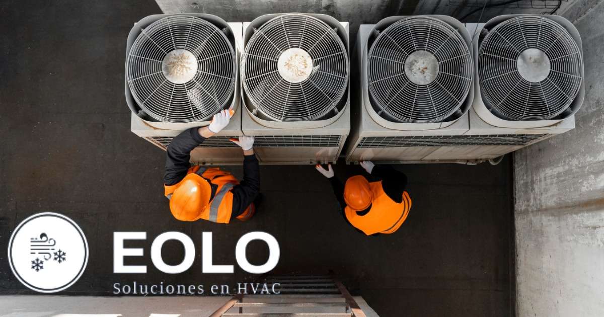 WhatsApp-Image-2023-07-26-at-18.12.49